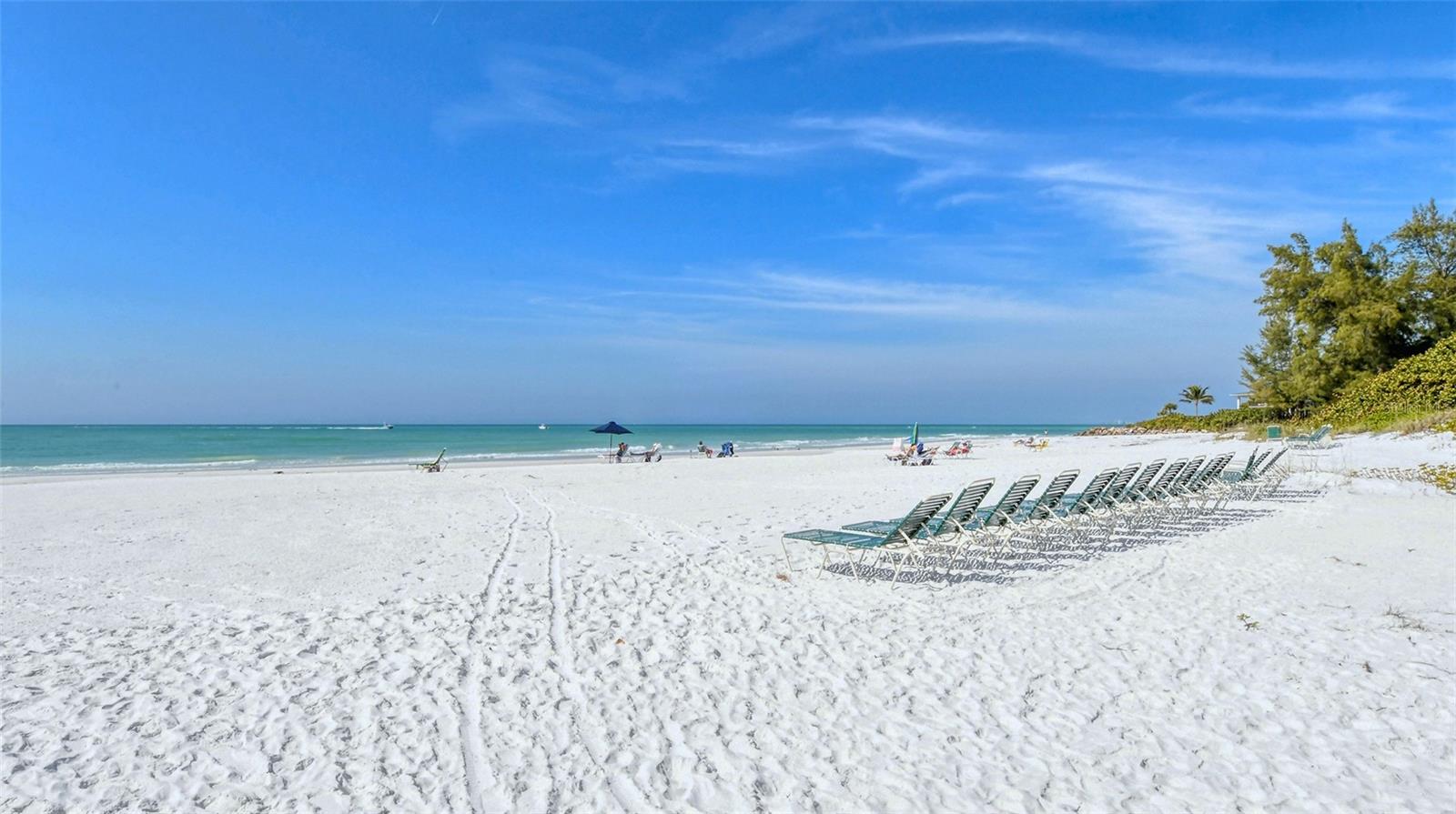 Image 47 of 69 For 19 Whispering Sands Drive 204