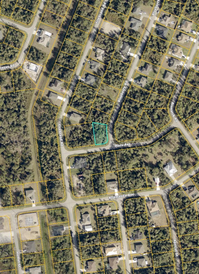 Image 4 of 4 For Blueberry Road