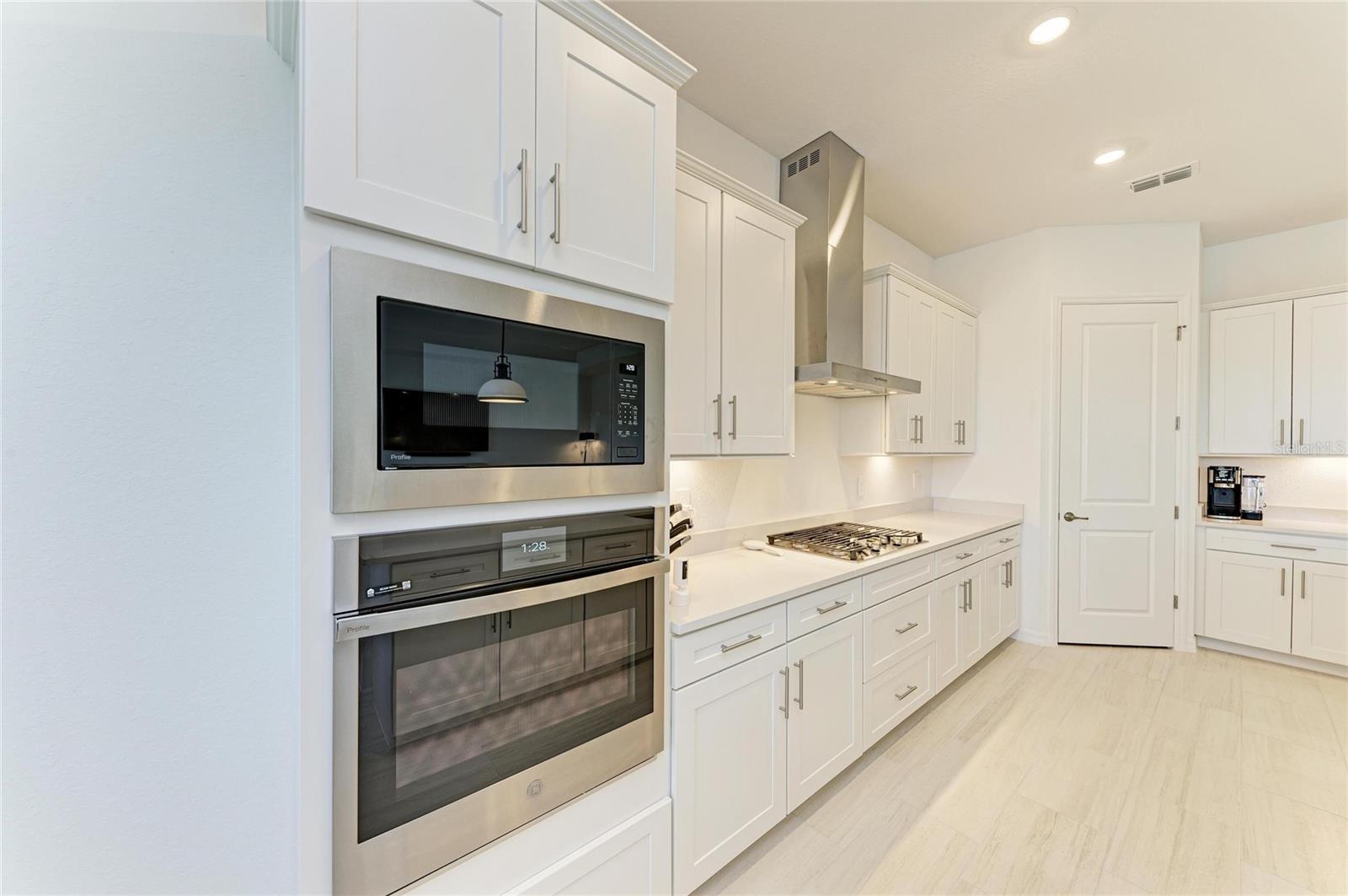 Image 13 of 66 For 5624 Lightning Whelk