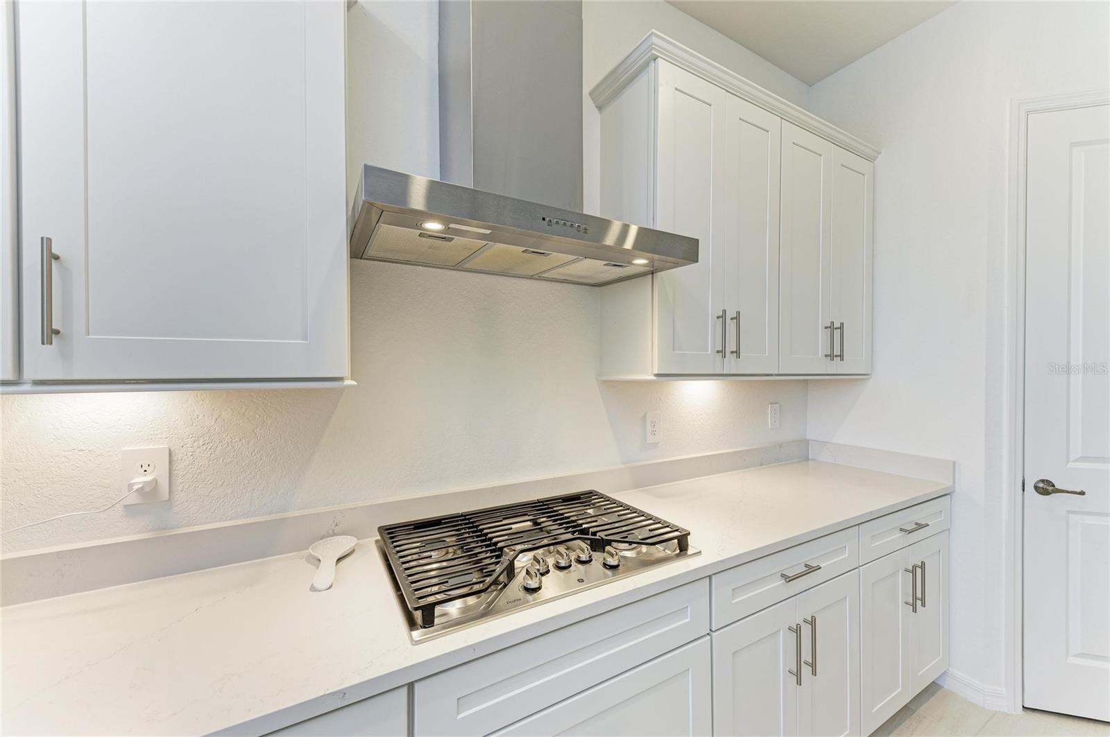 Image 15 of 66 For 5624 Lightning Whelk