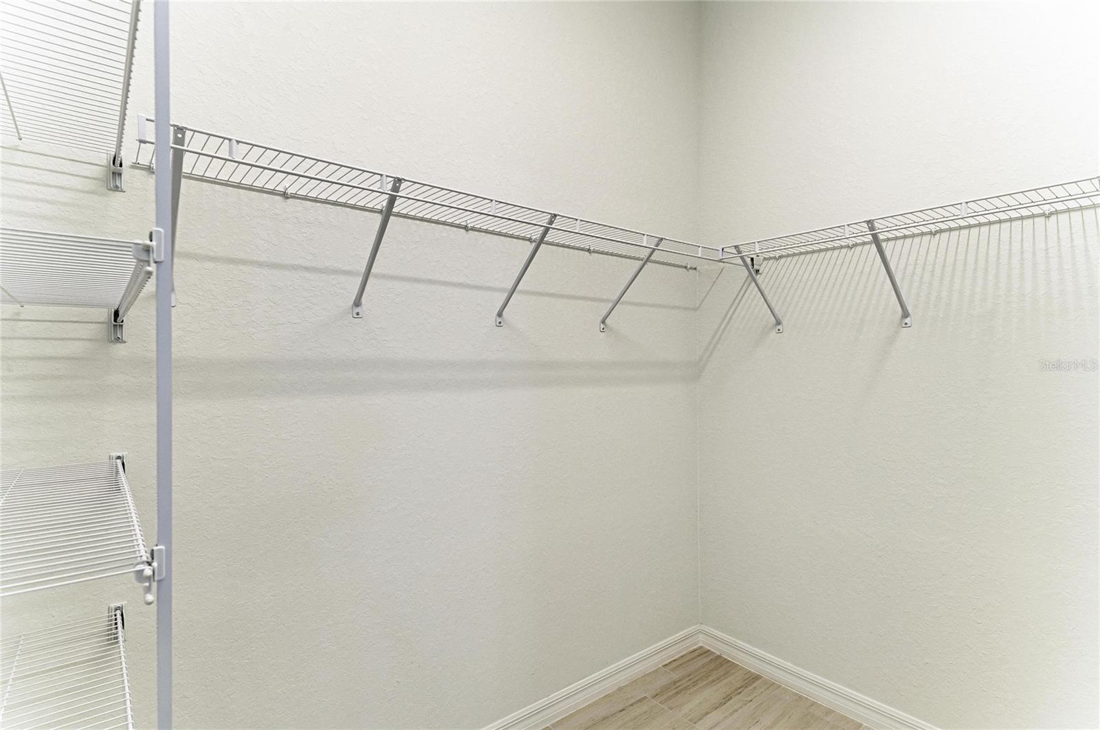 Image 27 of 66 For 5624 Lightning Whelk