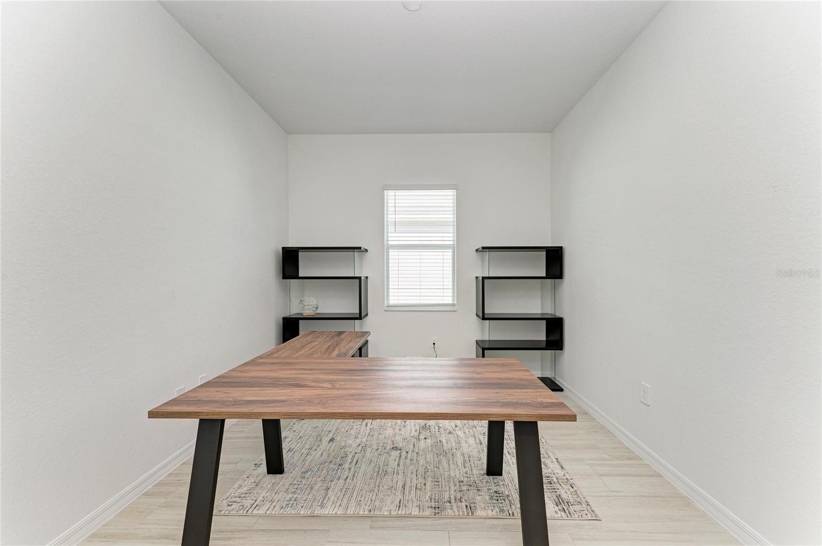 Image 28 of 66 For 5624 Lightning Whelk