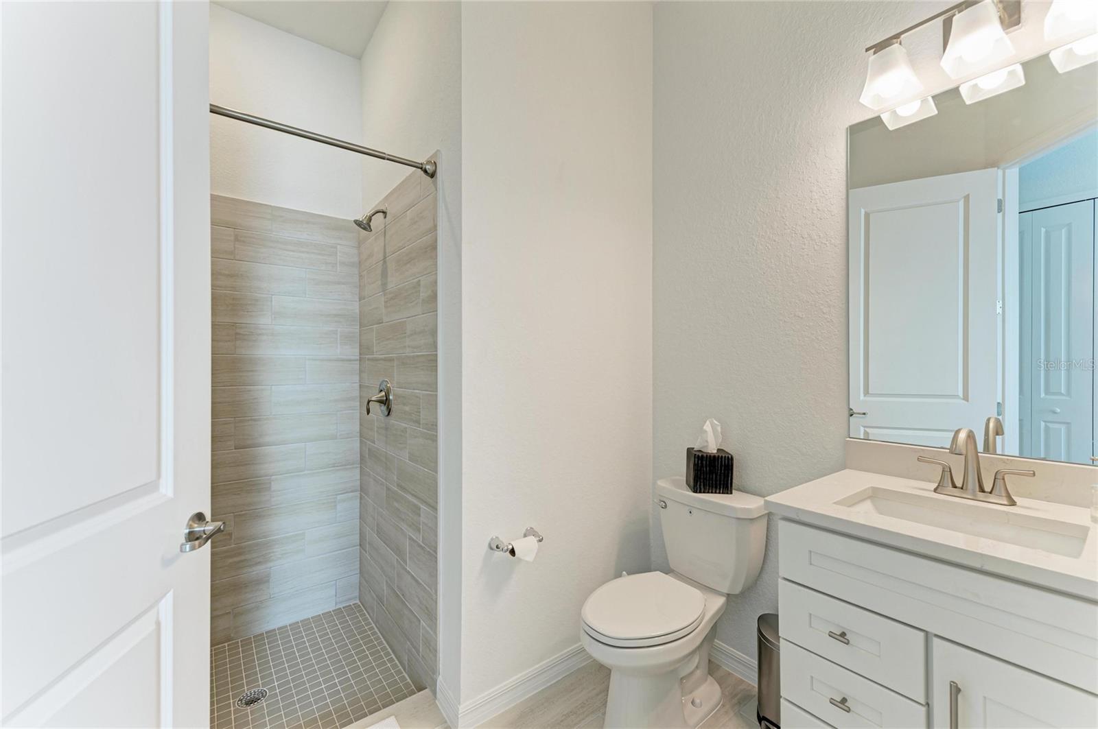 Image 37 of 66 For 5624 Lightning Whelk