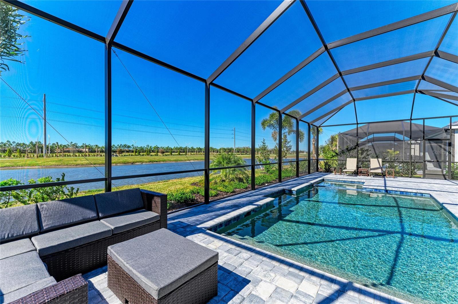 Image 47 of 66 For 5624 Lightning Whelk