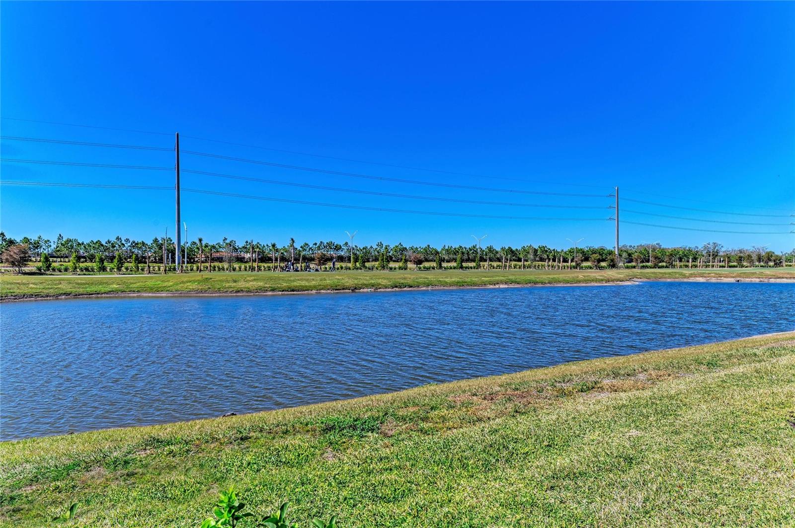 Image 48 of 66 For 5624 Lightning Whelk