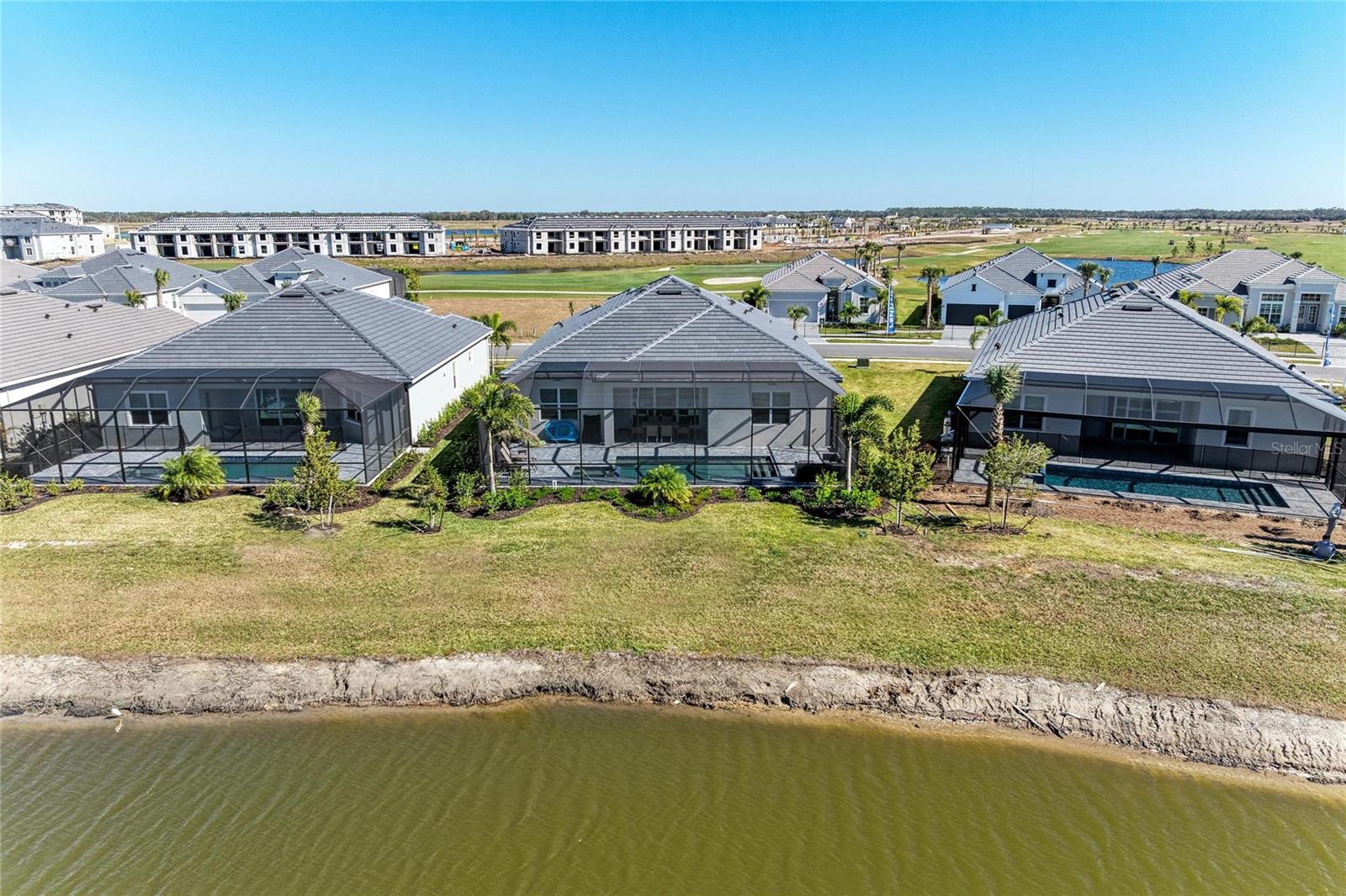 Image 49 of 66 For 5624 Lightning Whelk