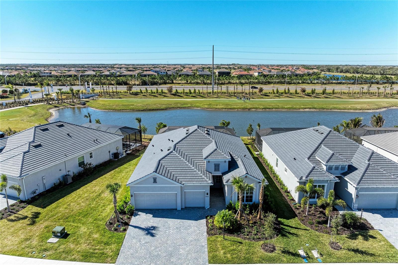 Image 50 of 66 For 5624 Lightning Whelk