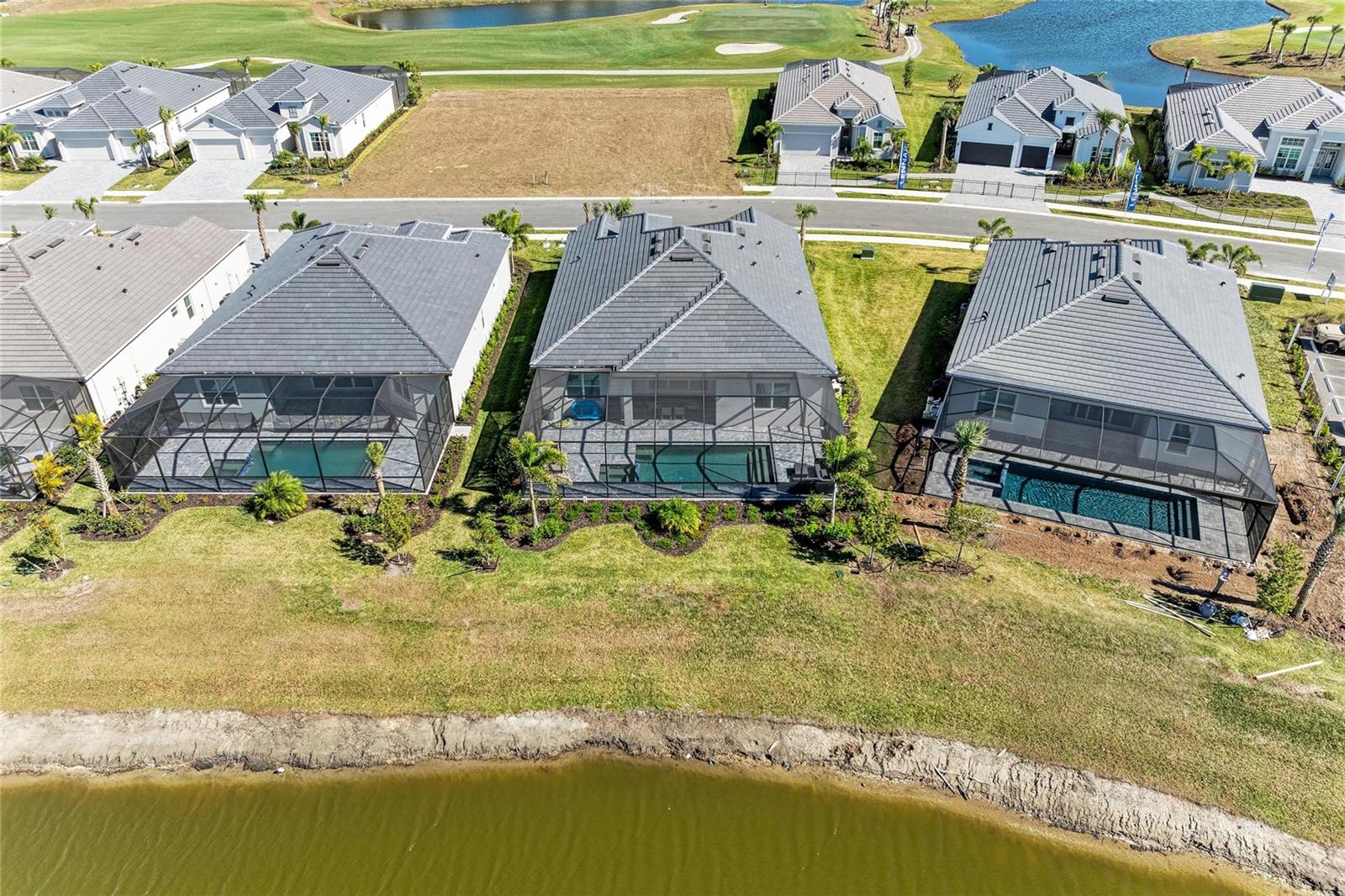 Image 53 of 66 For 5624 Lightning Whelk