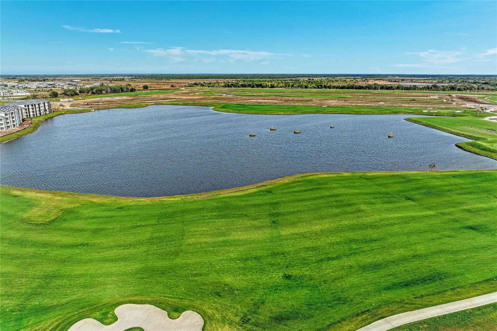 Image 63 of 66 For 5624 Lightning Whelk