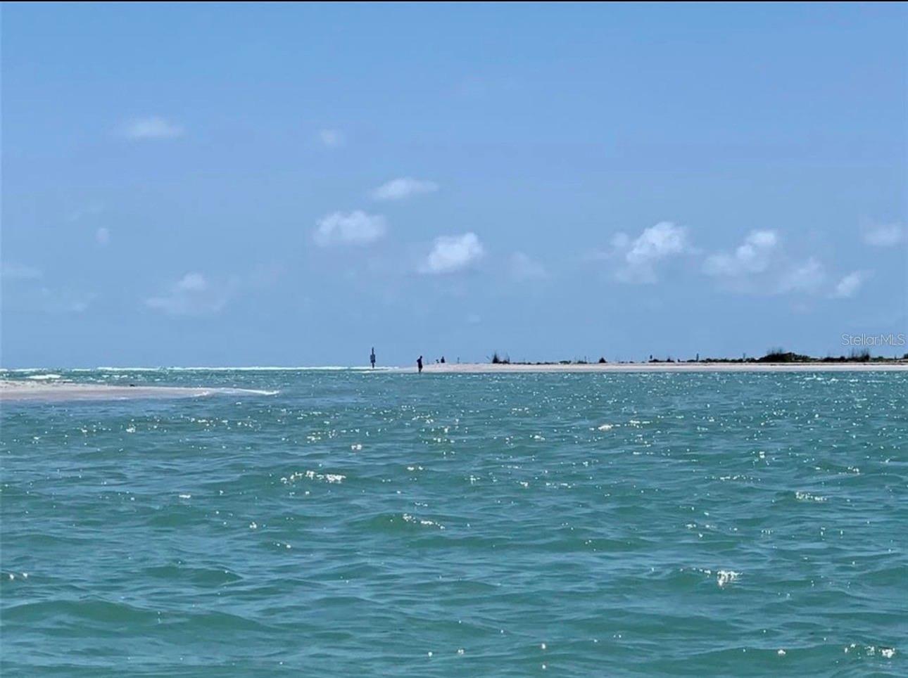 Image 9 of 12 For 113 White Marsh Lane