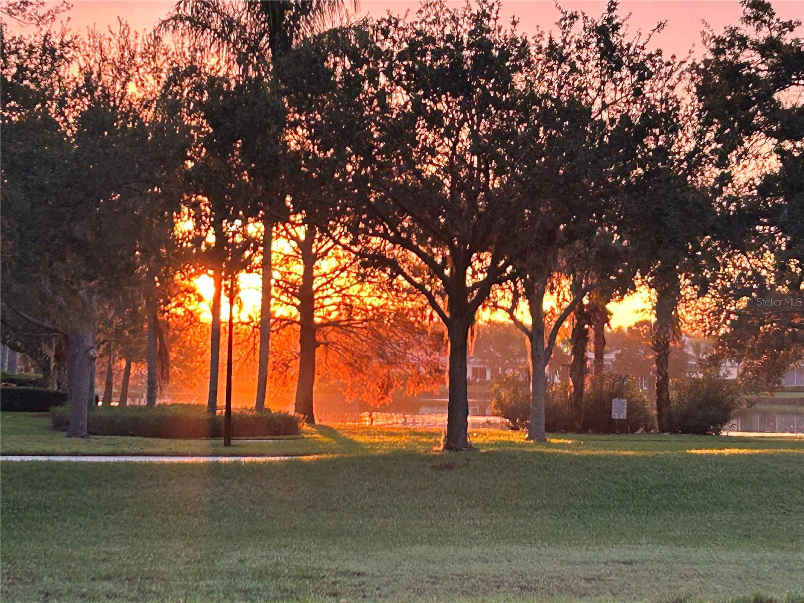 Image 5 of 74 For 7944 Bergamo Avenue