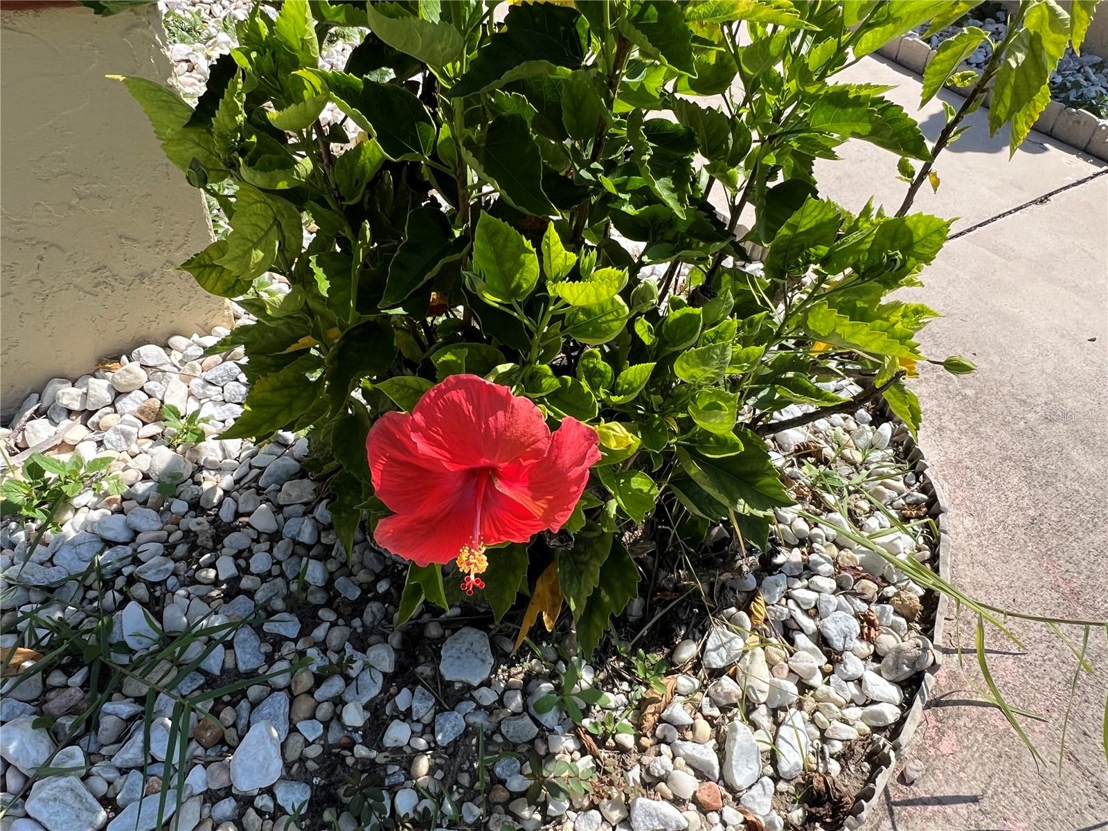 Image 3 of 52 For 19358 Edgewater Drive