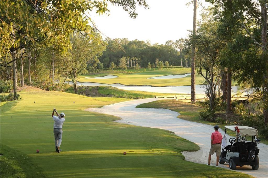 Image 34 of 45 For 16706 Vardon Terrace 304