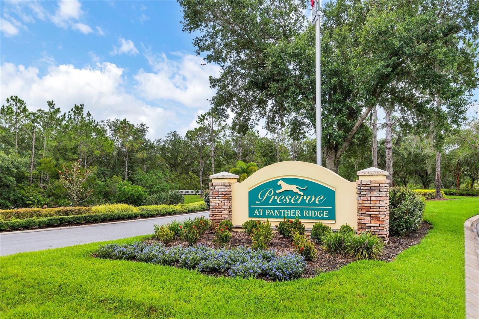 Image 56 of 60 For 8242 Snowy Egret Place