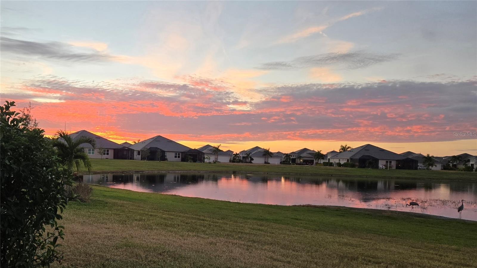 Listing photo id 21 for 235 Okeeffe Circle