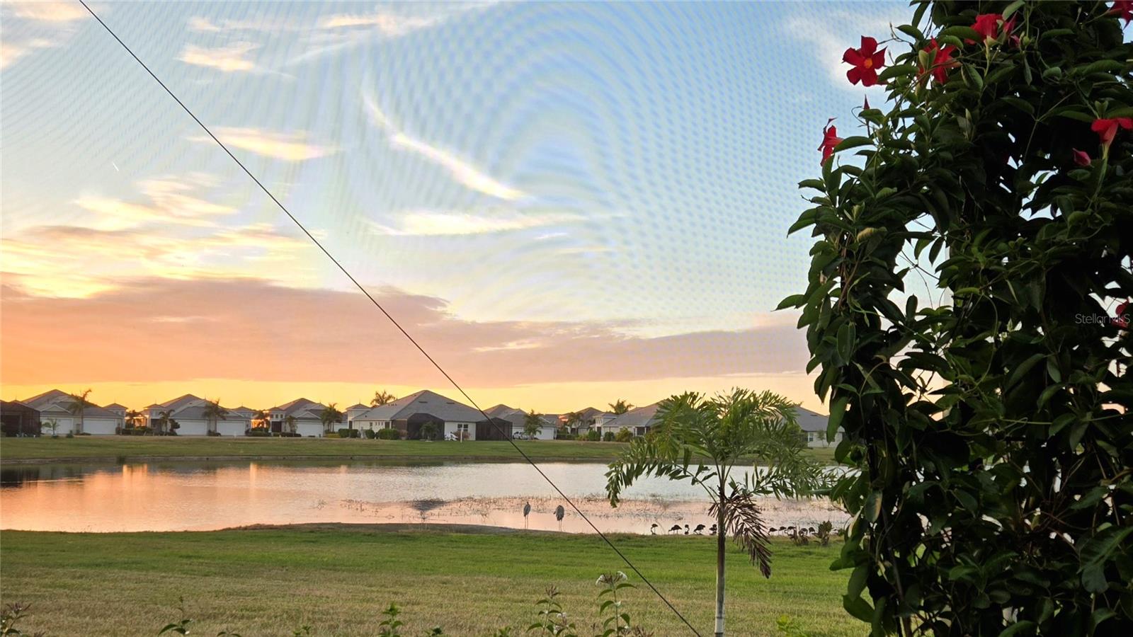 Listing photo id 23 for 235 Okeeffe Circle