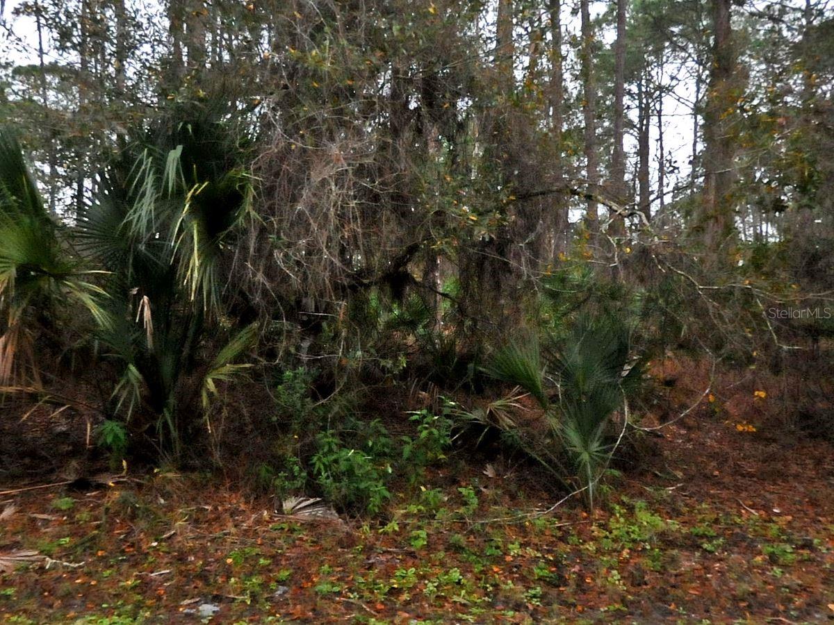 Details for  Neon Avenue , NORTH PORT, FL 34291