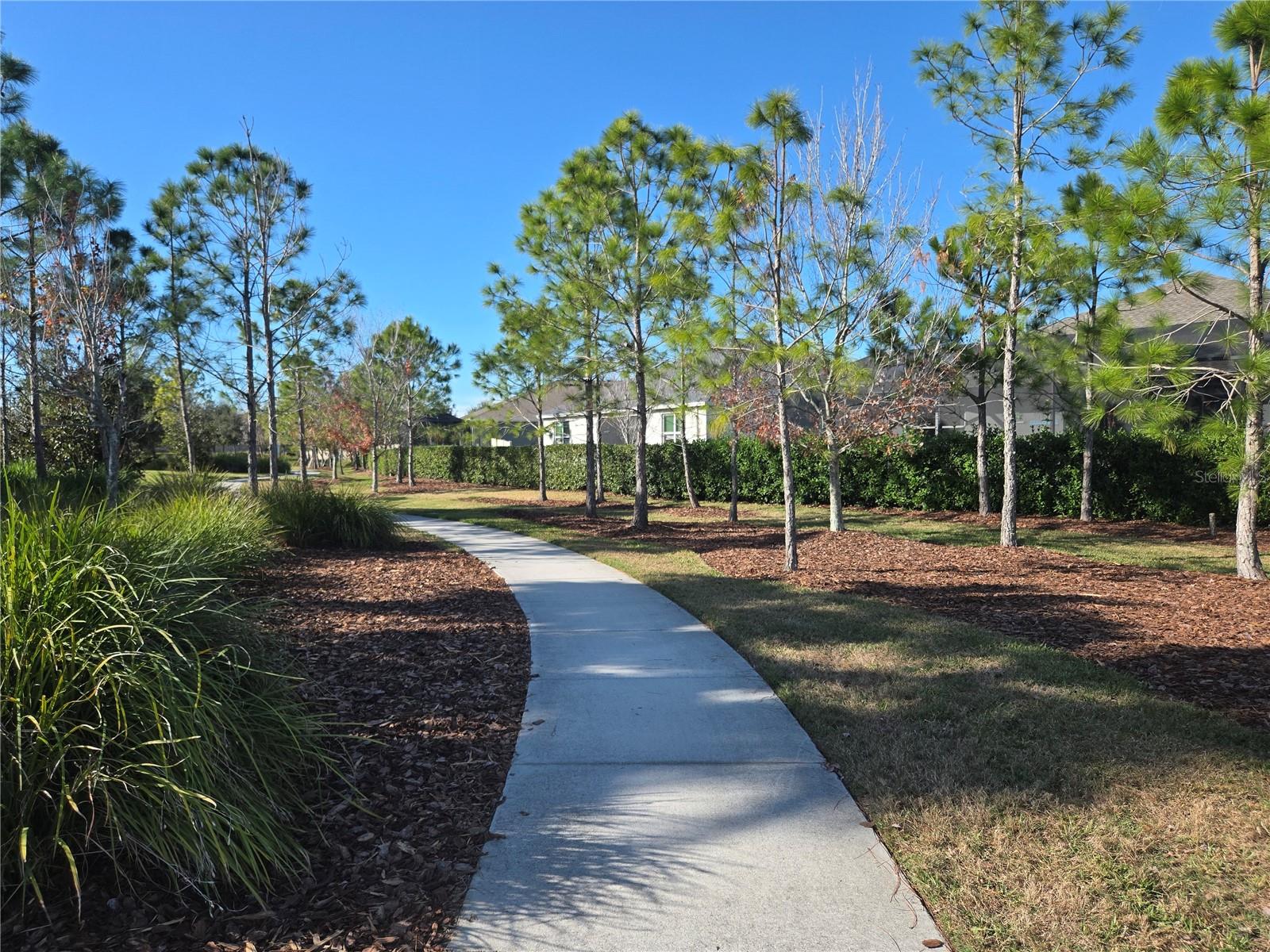 Image 23 of 37 For 5511 Patano Loop