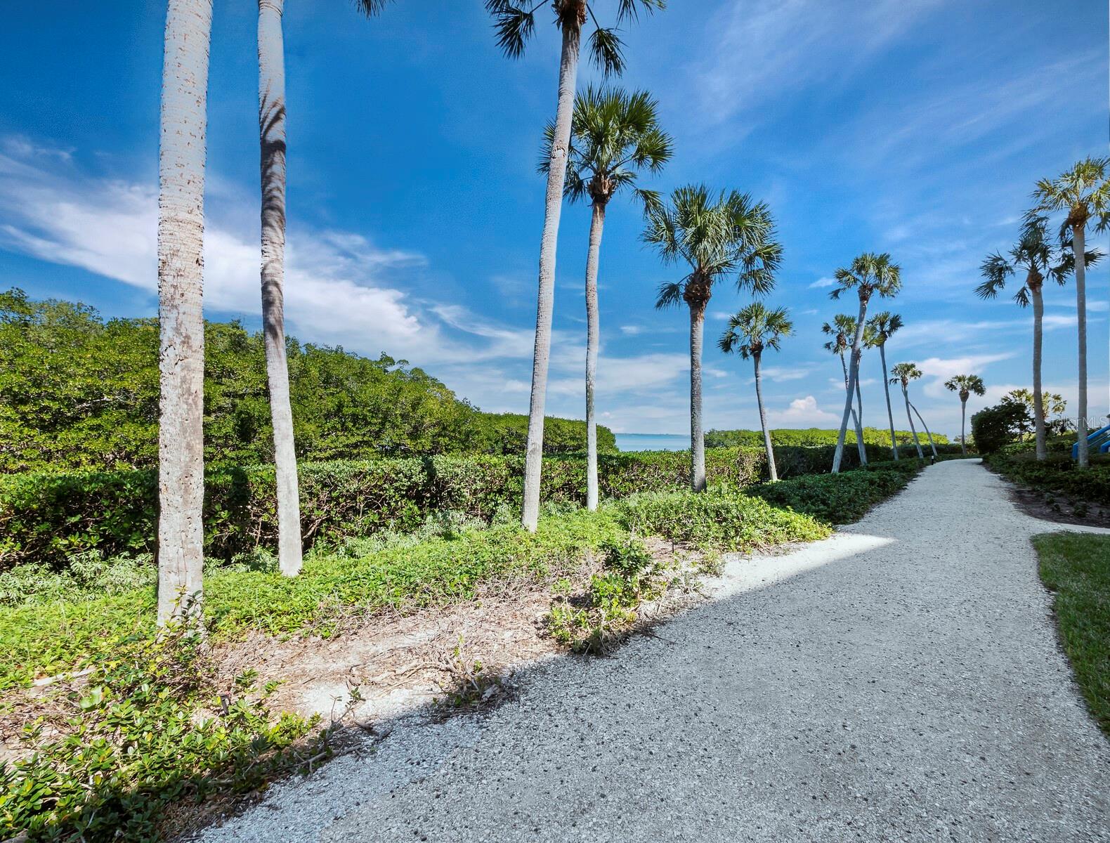 Image 34 of 55 For 2110 Harbourside Drive 547