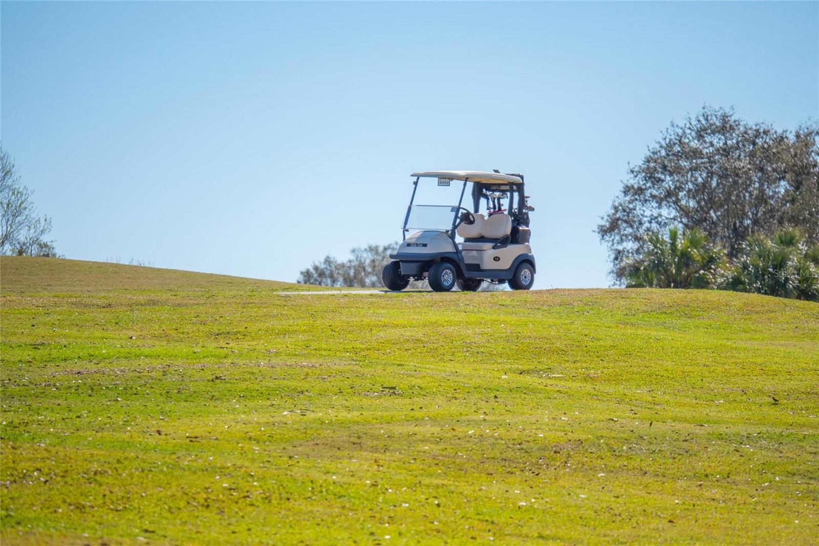 Image 56 of 69 For 11908 Oak Ridge Drive