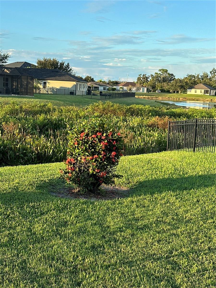 Image 34 of 35 For 7318 61st Street E