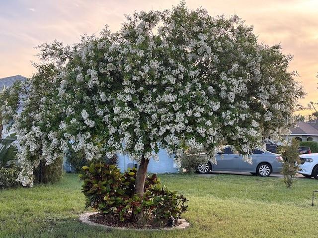 Image 56 of 72 For 3619 78th Avenue E