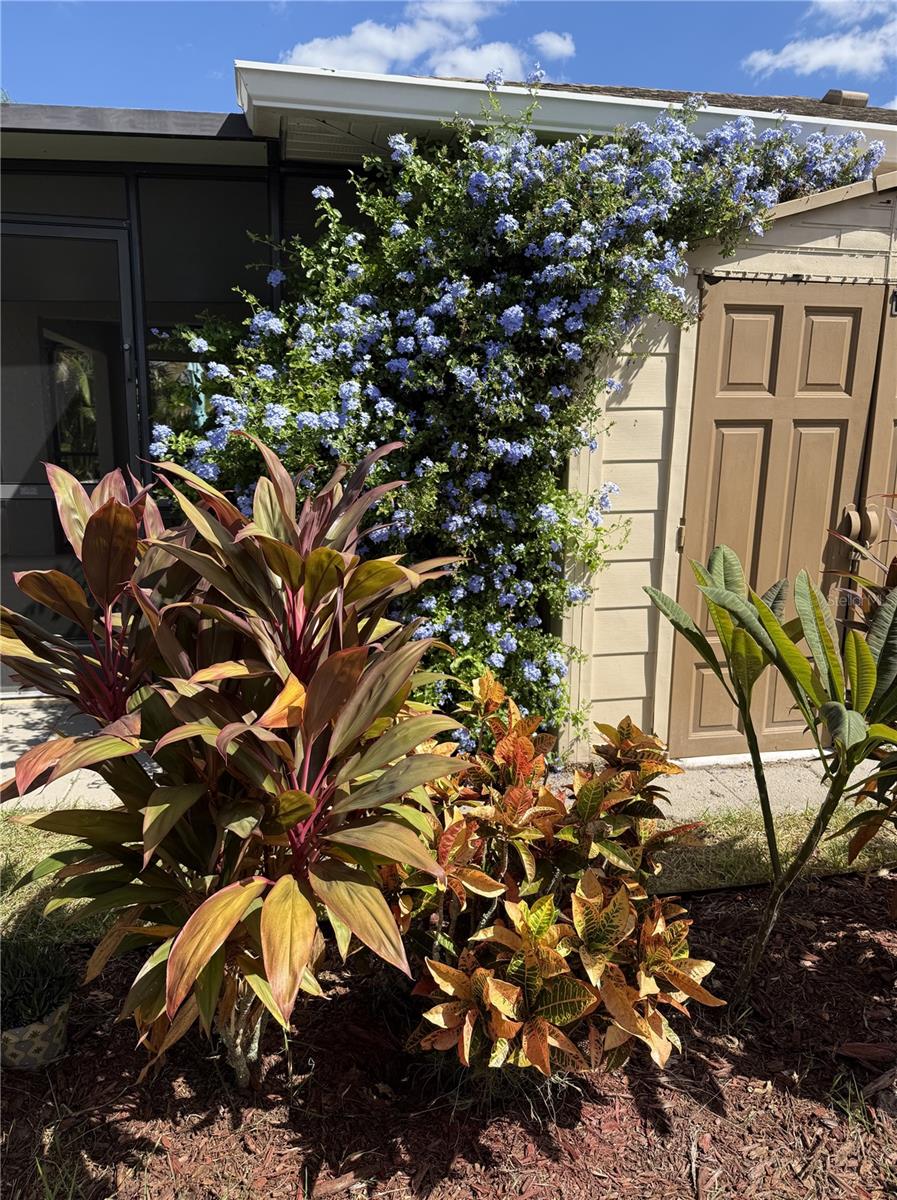 Image 62 of 72 For 3619 78th Avenue E