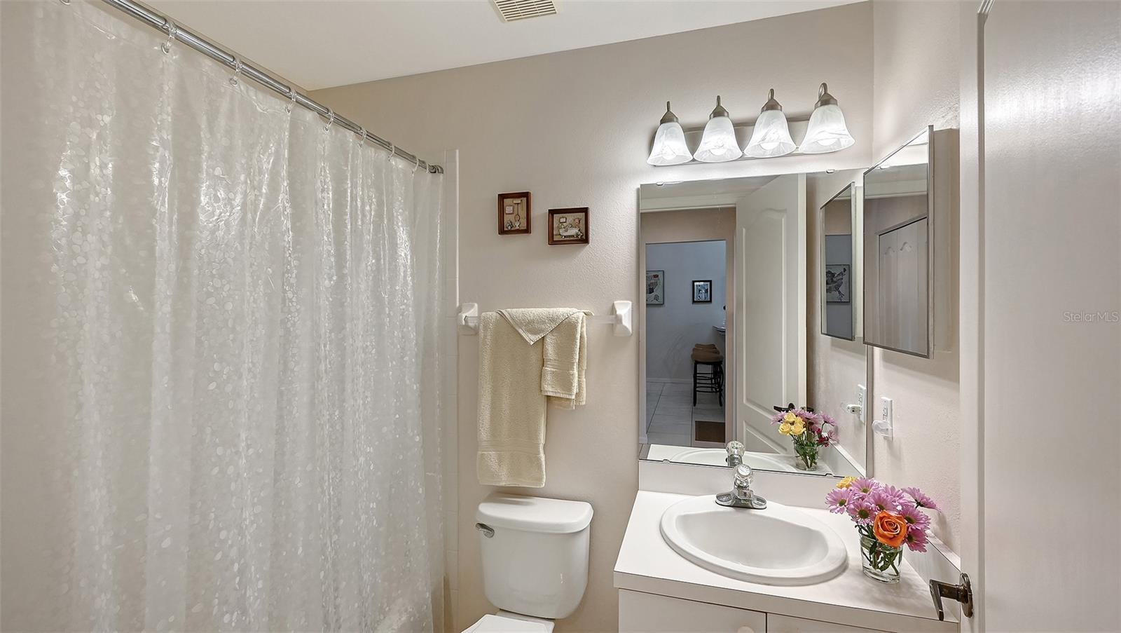 Image 23 of 45 For 4655 Tower Hill Lane 2422