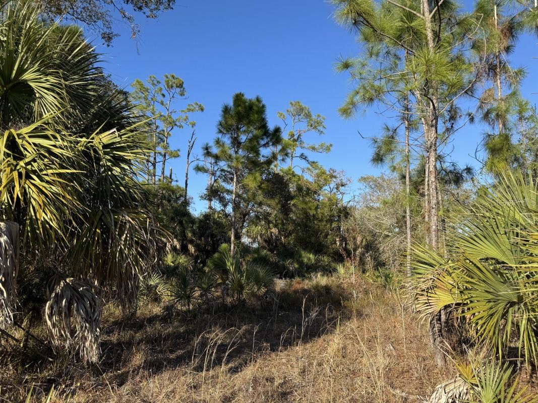 Image 2 of 3 For 146 La Playa Lane