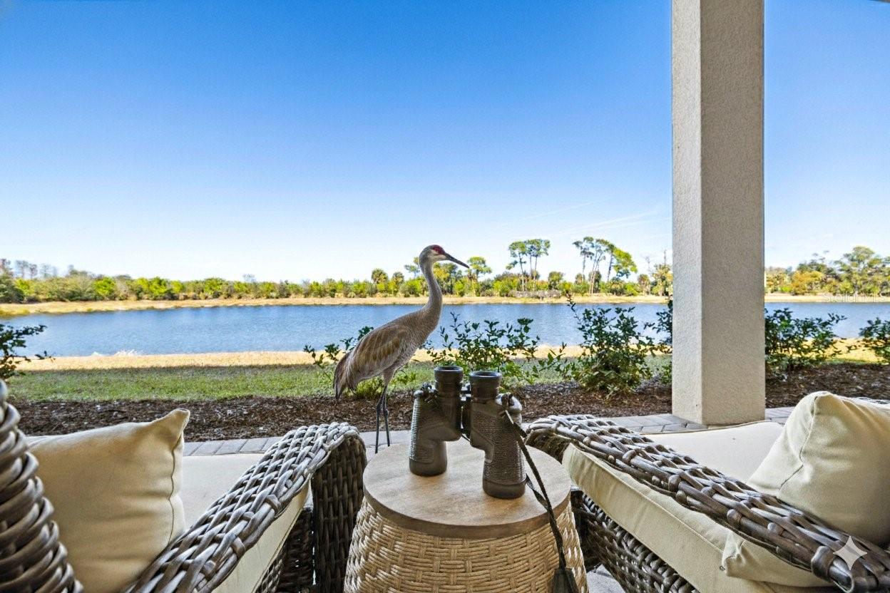 Image 35 of 95 For 10253 Canaveral Circle