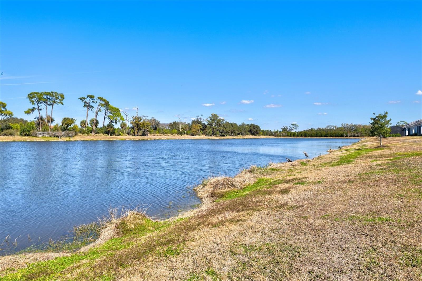 Image 41 of 95 For 10253 Canaveral Circle