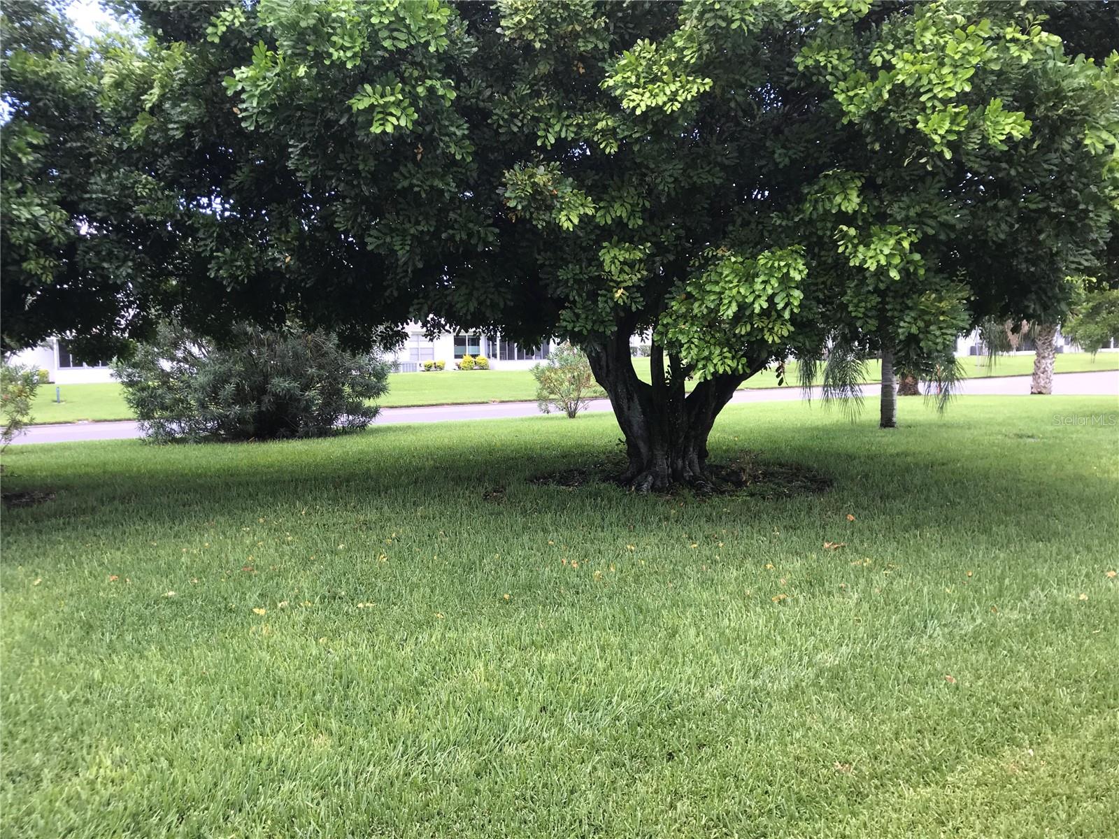 Image 9 of 22 For 3705 34th Ave Drive W