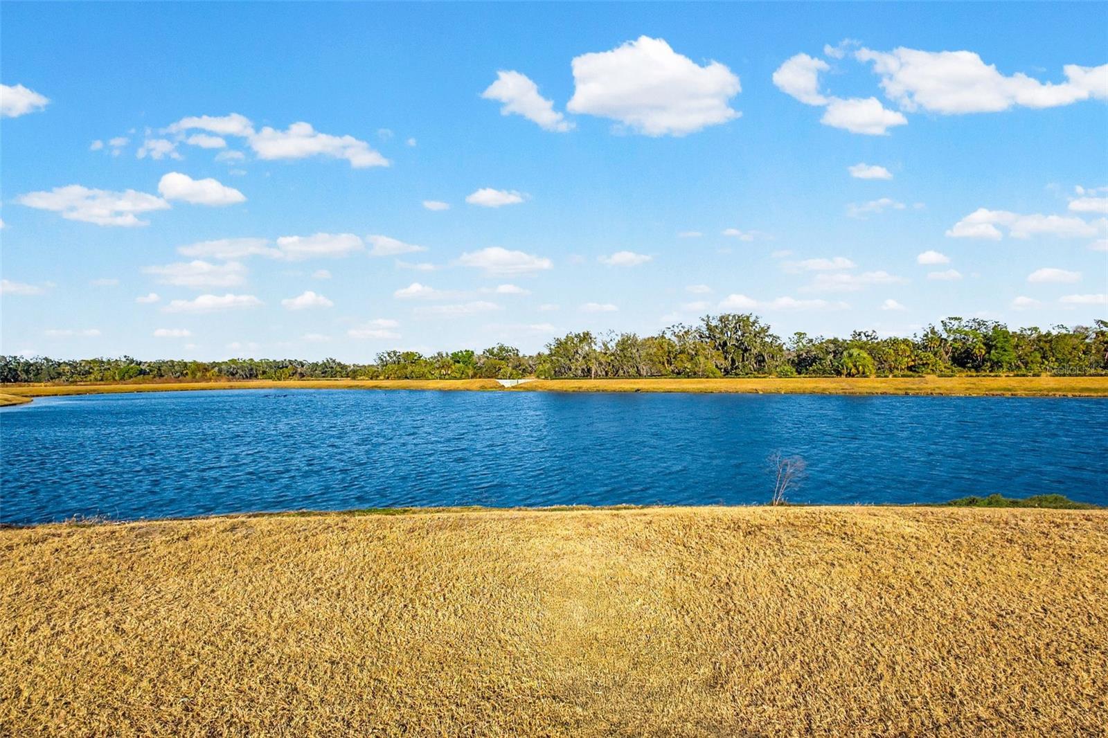 Image 33 of 72 For 7612 Satterfield Terrace