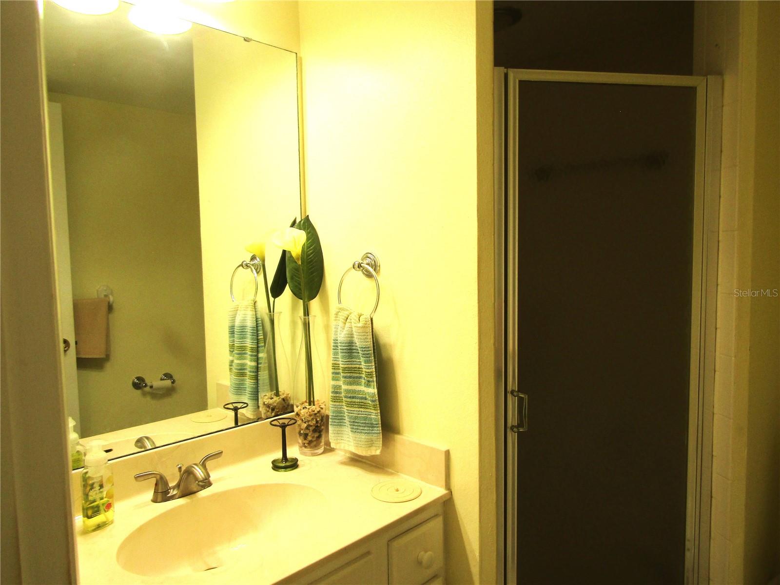 Image 17 of 31 For 4628 Ringwood Meadow 26