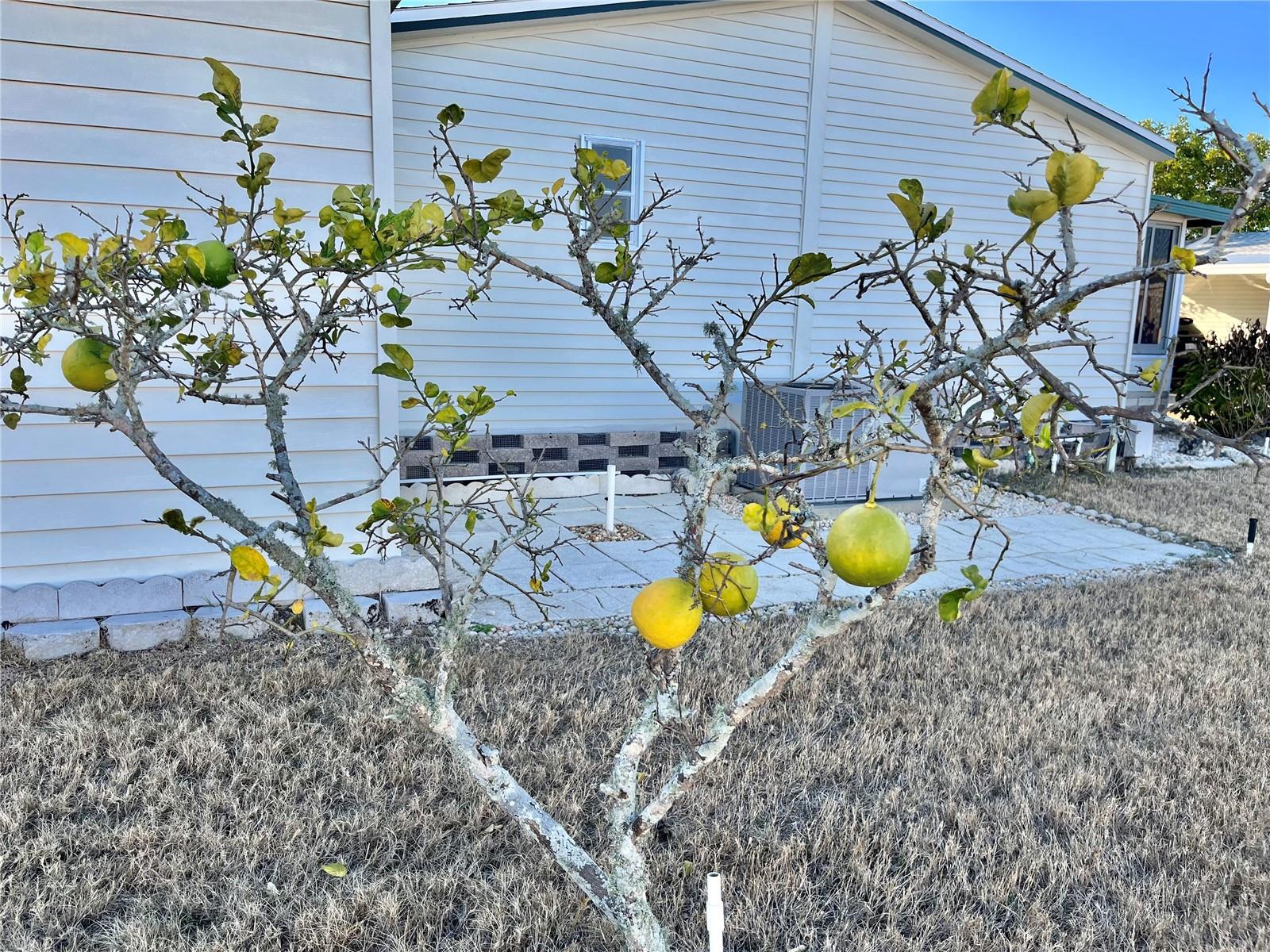 Image 29 of 45 For 5707 45th Street E 59