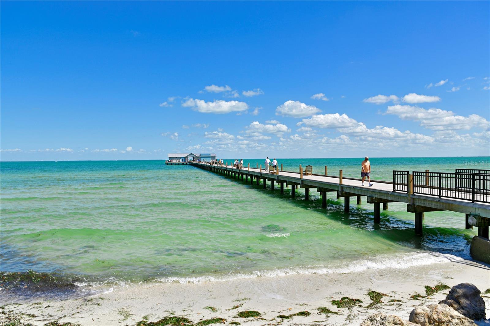 Image 32 of 39 For 216 Gladiolus Street