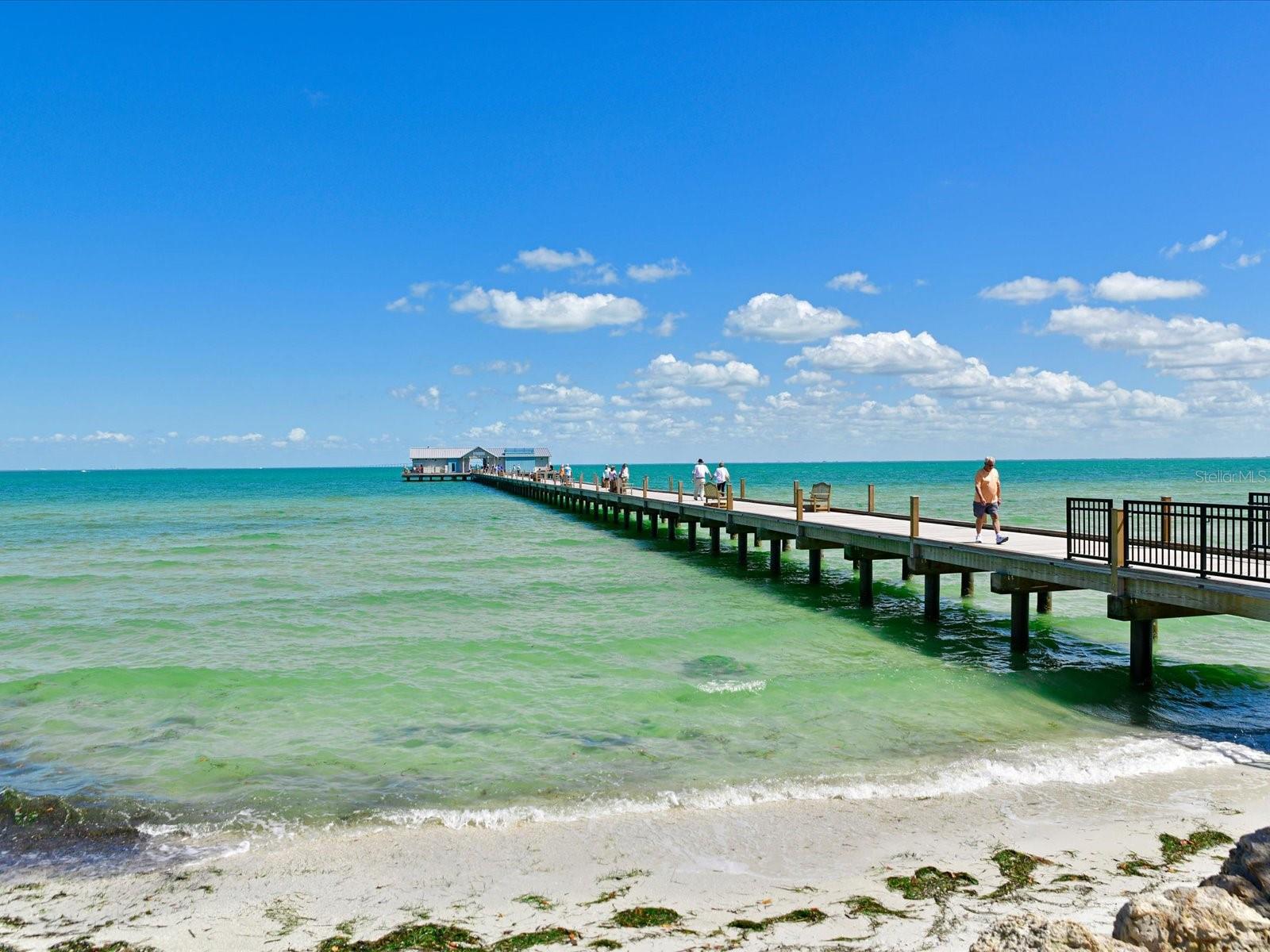 Image 37 of 39 For 216 Gladiolus Street