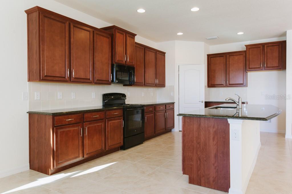 Image 6 of 21 For 15543 Trinity Fall Way