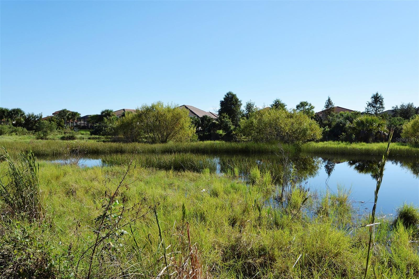 Image 42 of 46 For 1062 Ancora Boulevard