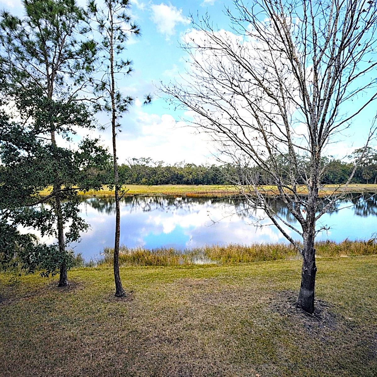 Image 29 of 63 For 6318 Grand Oak Circle 201