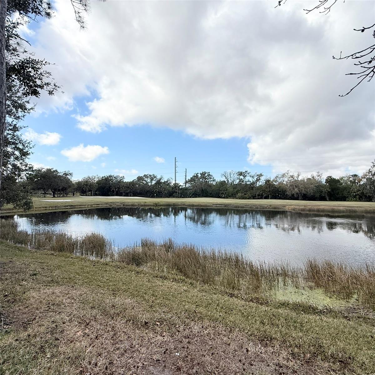 Image 30 of 63 For 6318 Grand Oak Circle 201