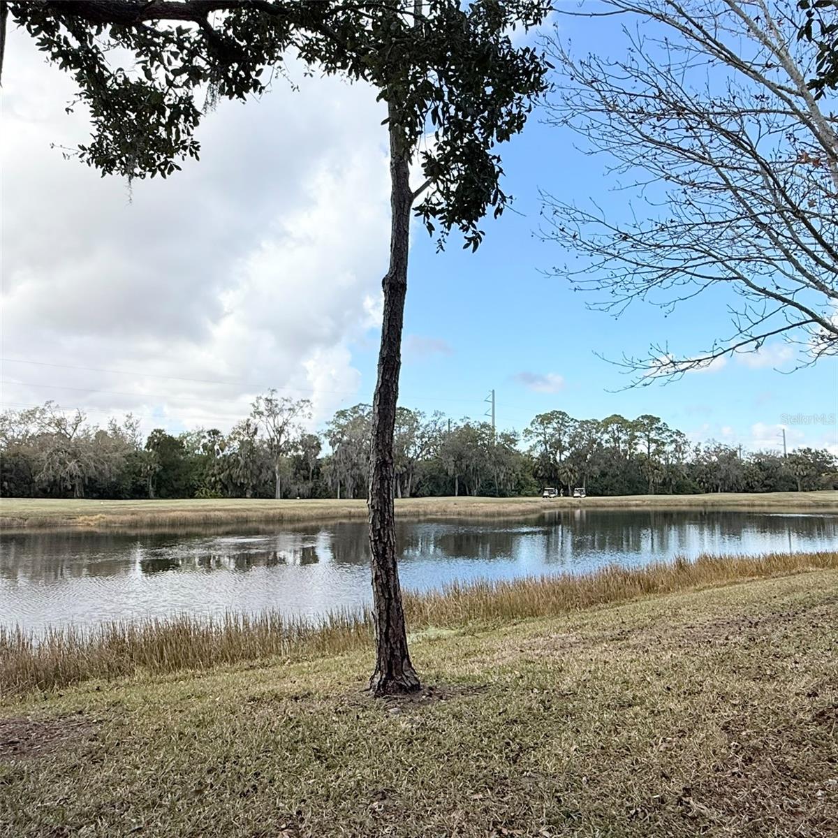 Image 48 of 63 For 6318 Grand Oak Circle 201