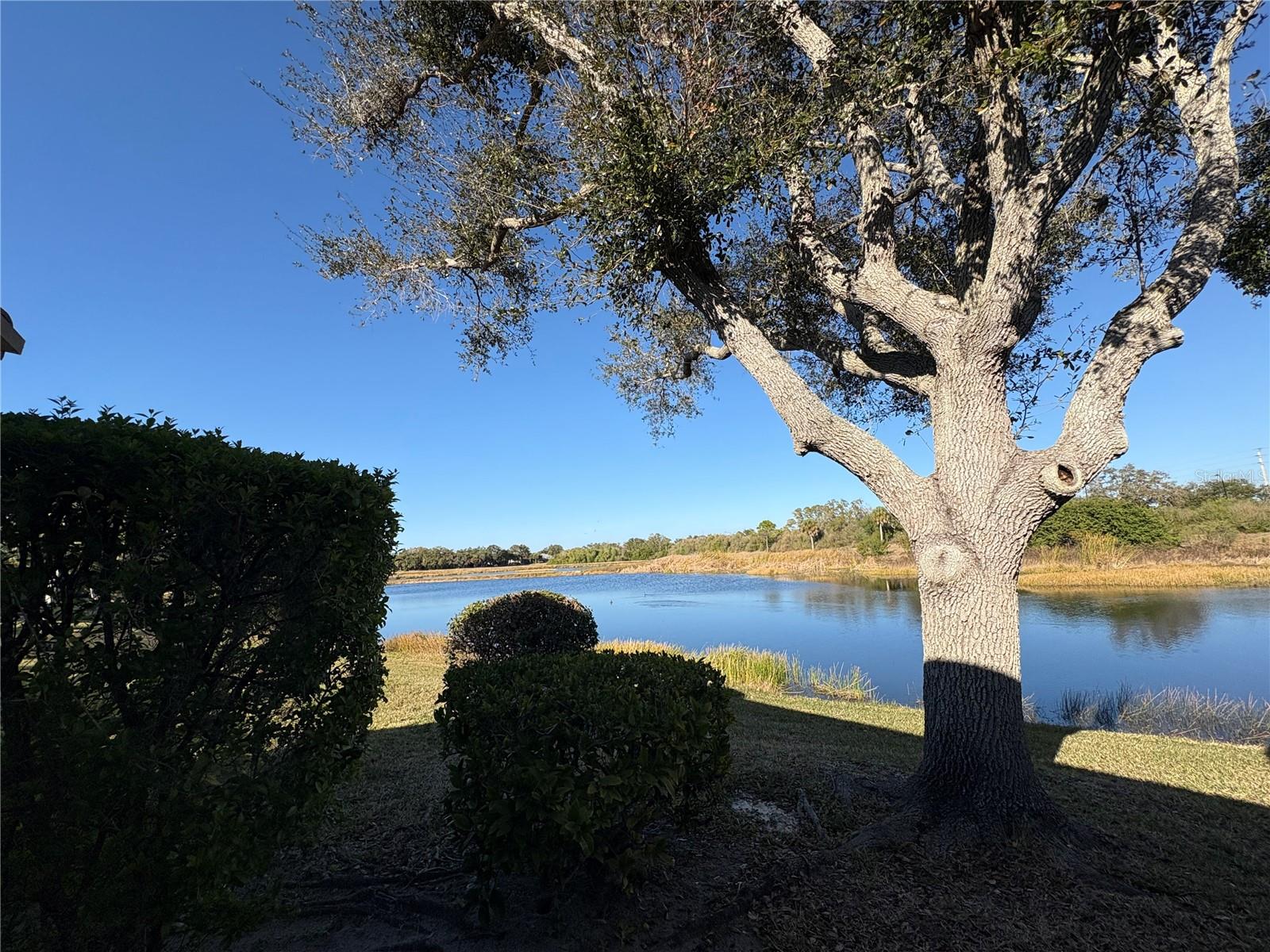 Image 43 of 56 For 5205 Far Oak Circle