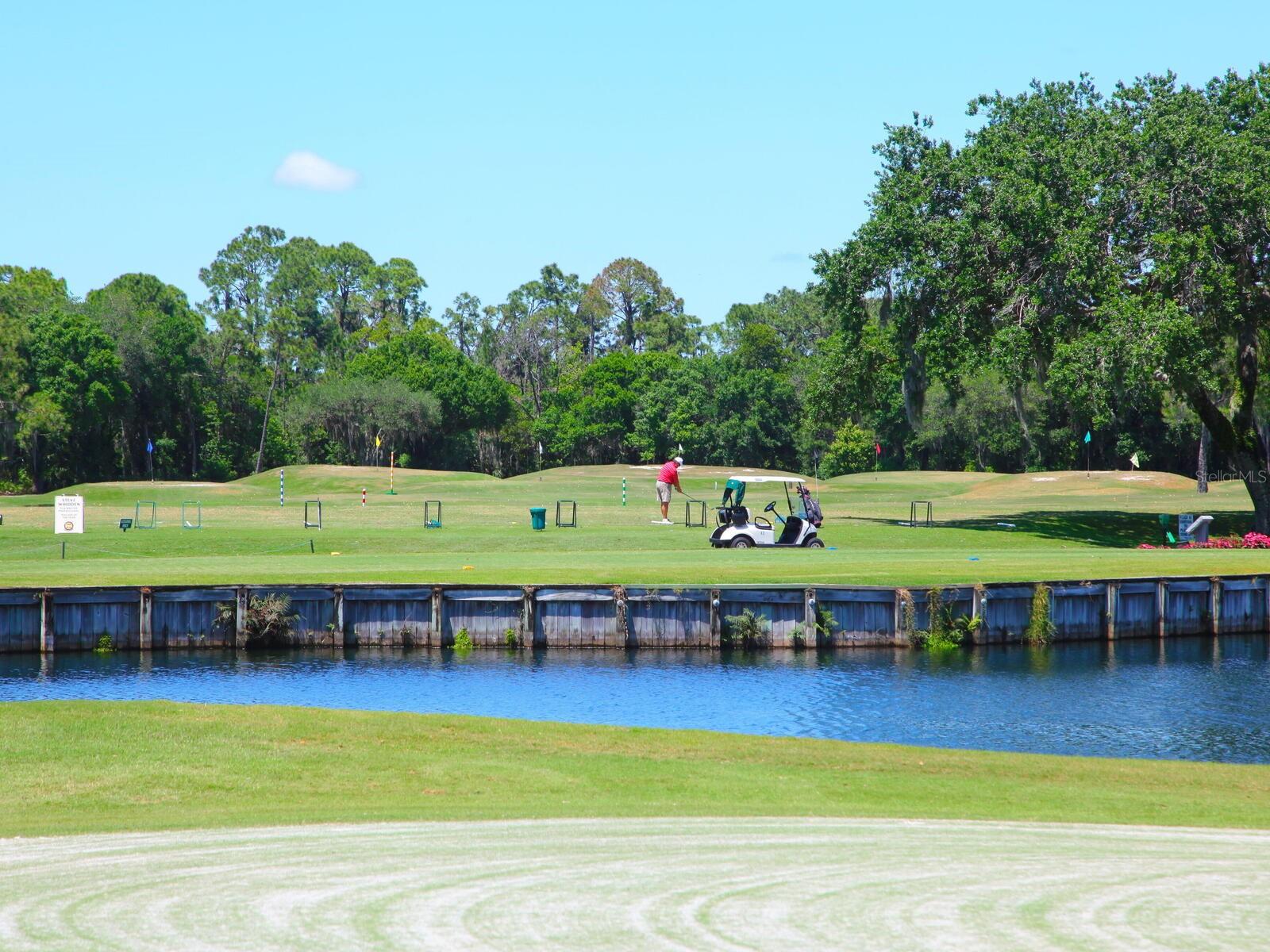 Image 51 of 59 For 9817 Marbella Drive