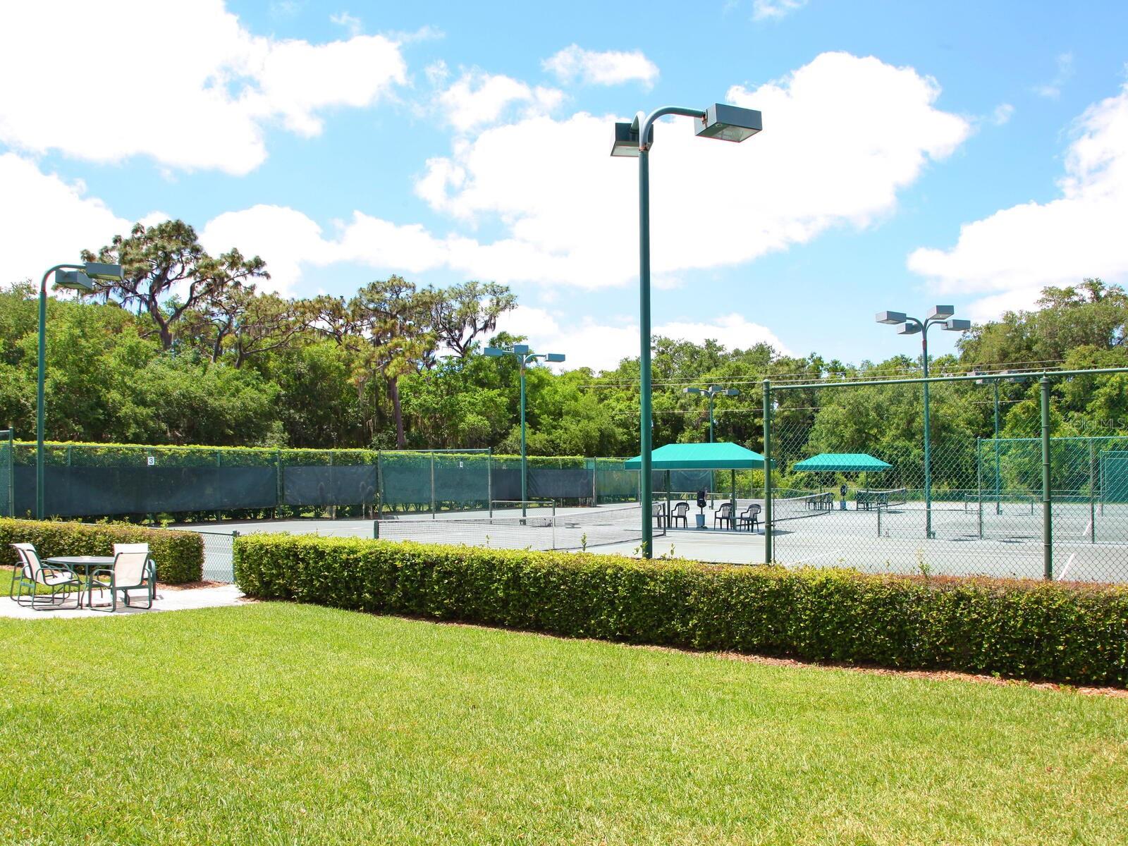 Image 53 of 59 For 9817 Marbella Drive