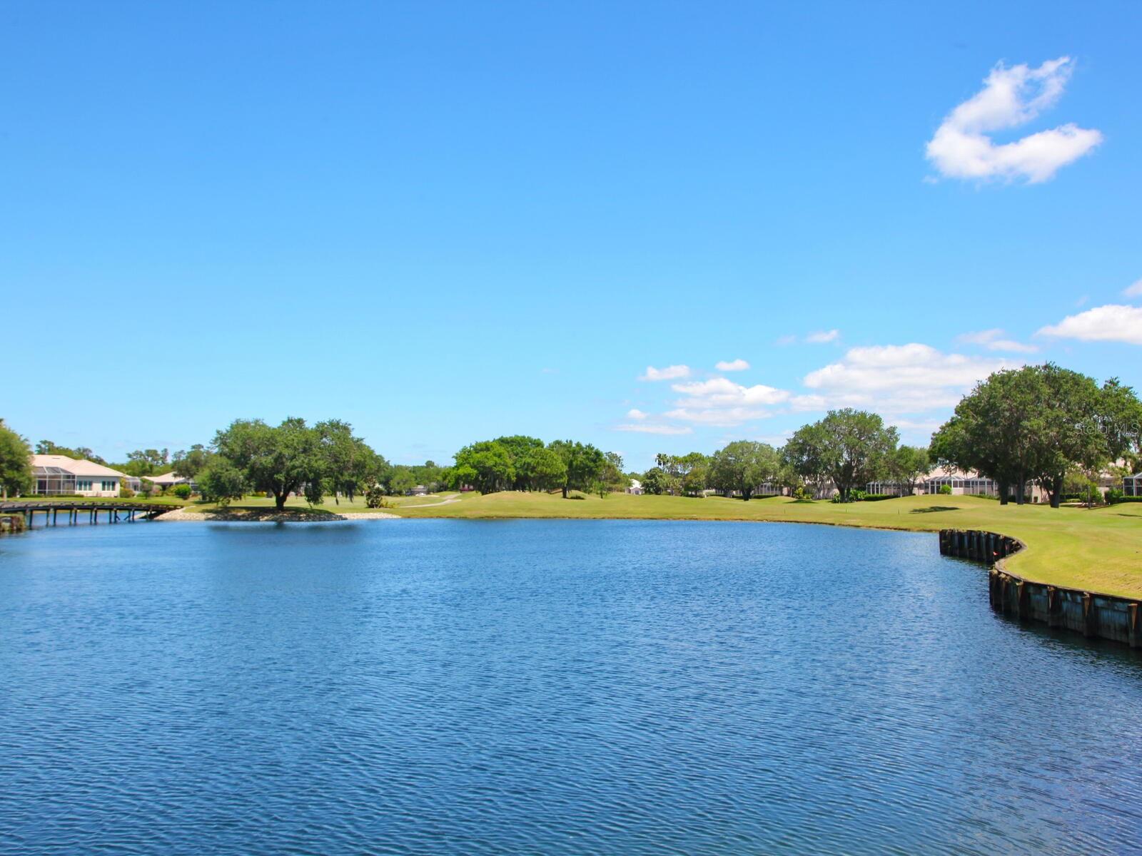 Image 58 of 59 For 9817 Marbella Drive