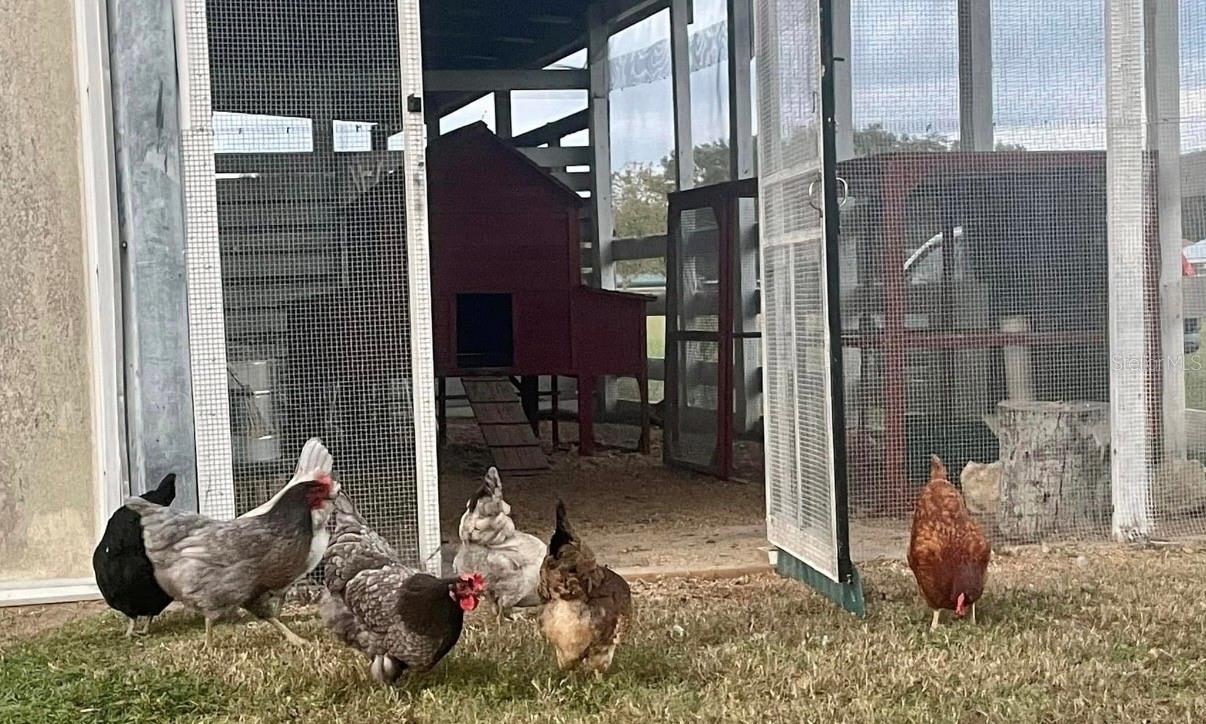 Image 66 of 67 For 331 Highway 42