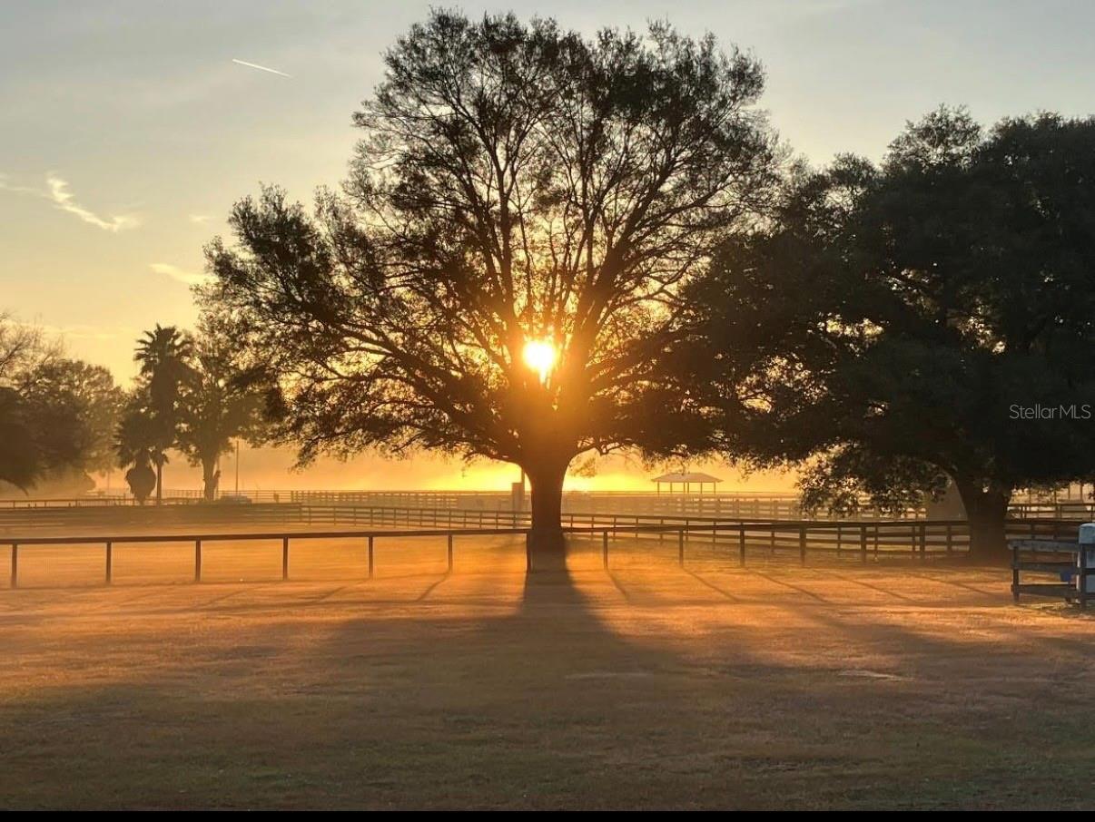 Image 67 of 67 For 331 Highway 42