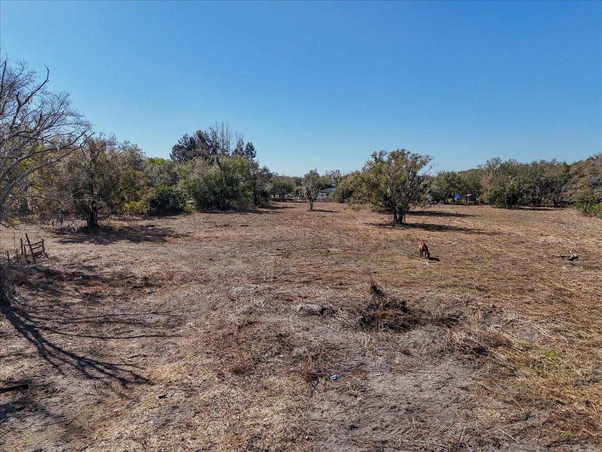 Image 31 of 41 For 1707 Robin Road