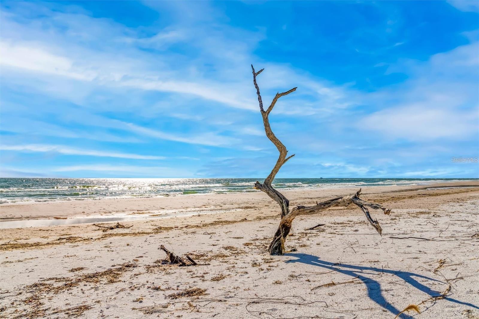 Image 61 of 100 For 6680 Gulf Of Mexico Drive